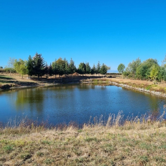 WEALSTONE : Ground | SAINT-MEDARD-EN-FOREZ (42330) | m2 | 138 500 € WEALSTONE : Ground | SAINT-MEDARD-EN-FOREZ (42330) | m2 | 138 500 €