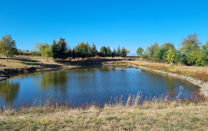 Terrain SAINT-MEDARD-EN-FOREZ 138 500 € Terrain SAINT-MEDARD-EN-FOREZ 138 500 €