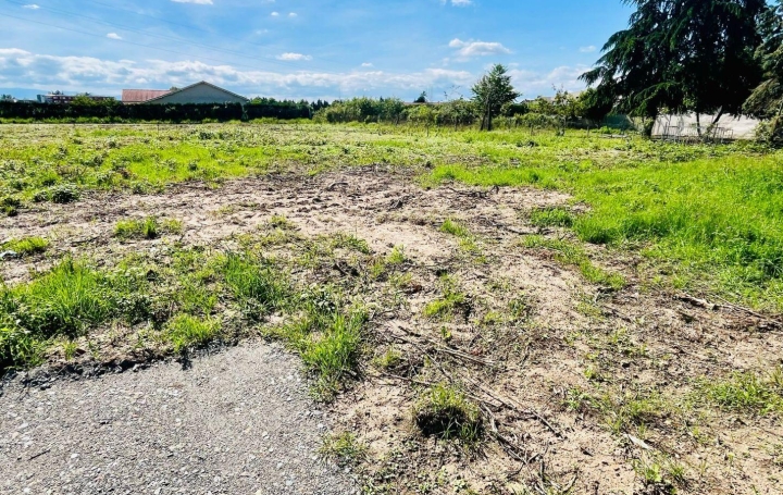  WEALSTONE Terrain | FEURS (42110) | 0 m2 | 46 000 € 