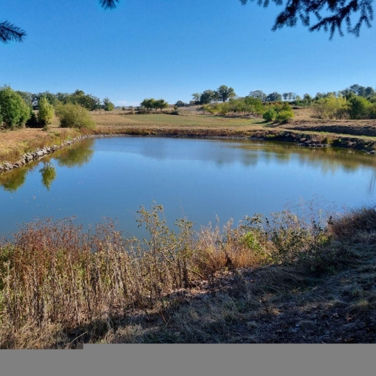  WEALSTONE : Terrain | SAINT-MEDARD-EN-FOREZ (42330) | 0 m2 | 95 000 € 