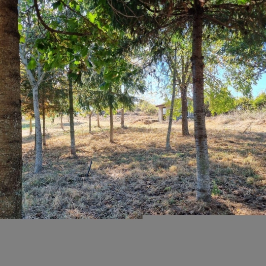  WEALSTONE : Terrain | SAINT-MEDARD-EN-FOREZ (42330) | 0 m2 | 95 000 € 