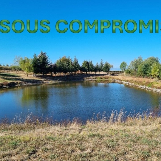  WEALSTONE : Terrain | SAINT-MEDARD-EN-FOREZ (42330) | 0 m2 | 95 000 € 