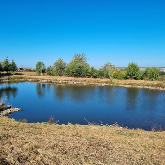  WEALSTONE : Terrain | SAINT-MEDARD-EN-FOREZ (42330) | 0 m2 | 95 000 € 