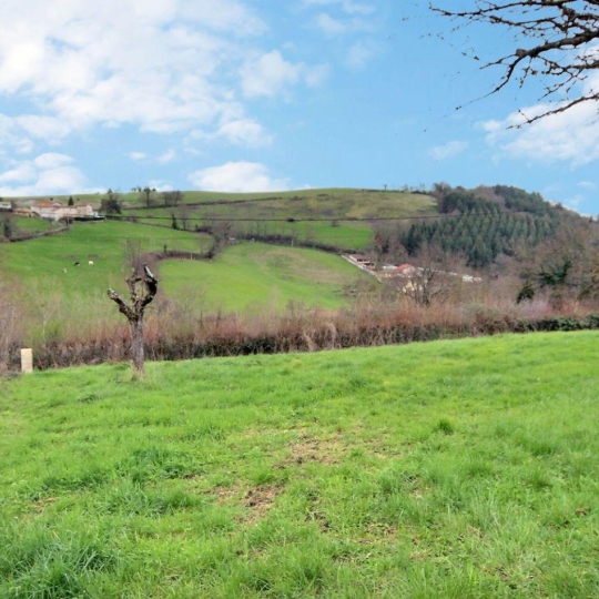  WEALSTONE : Terrain | SAINT-GALMIER (42330) | 0 m2 | 119 000 € 