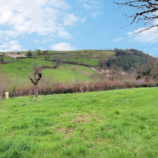 WEALSTONE : Terrain | SAINT-GALMIER (42330) | m2 | 119 000 € 