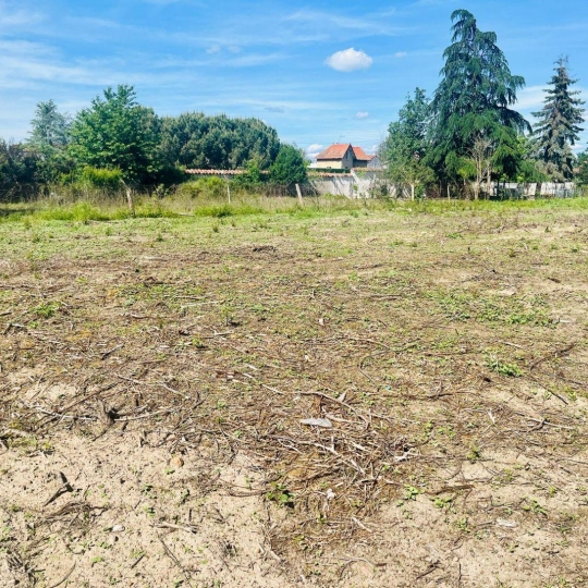  WEALSTONE : Terrain | FEURS (42110) | 0 m2 | 46 000 € 