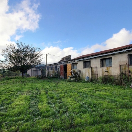  WEALSTONE : Maison / Villa | CHAMBLES (42170) | 180 m2 | 137 500 € 