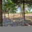  WEALSTONE : Terrain | SAINT-MEDARD-EN-FOREZ (42330) | 0 m2 | 95 000 € 