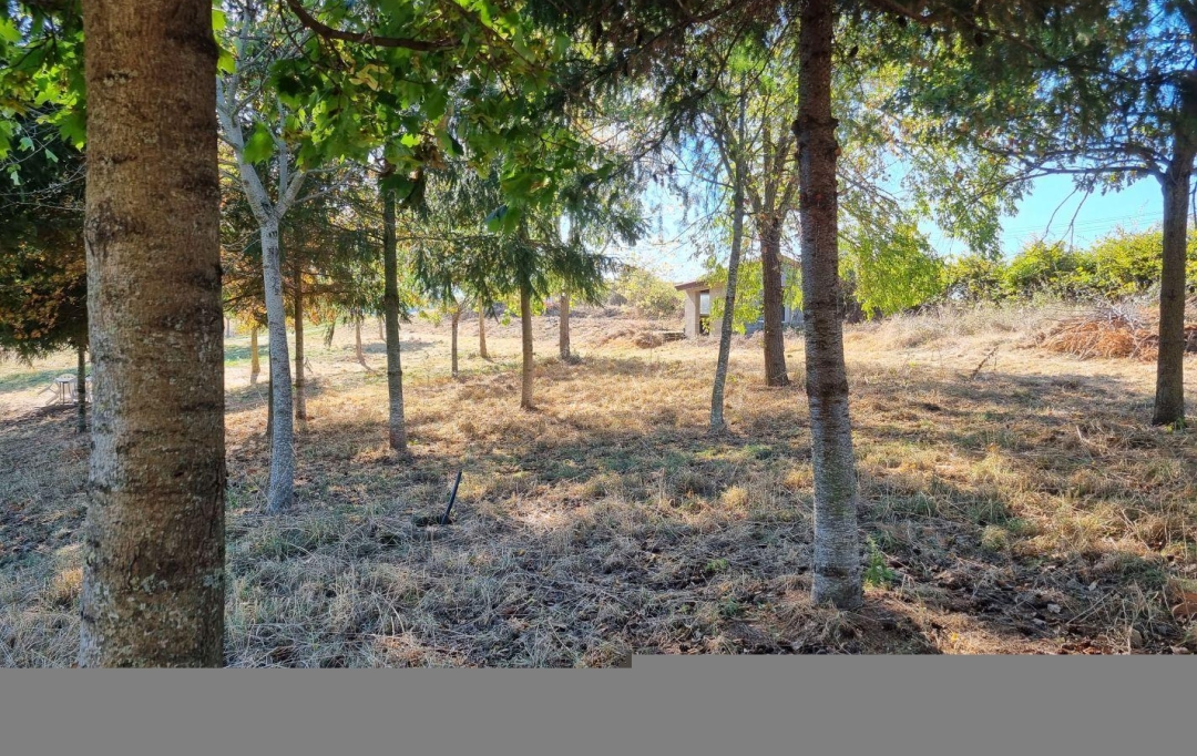 WEALSTONE : Terrain | SAINT-MEDARD-EN-FOREZ (42330) | 0 m2 | 95 000 € 