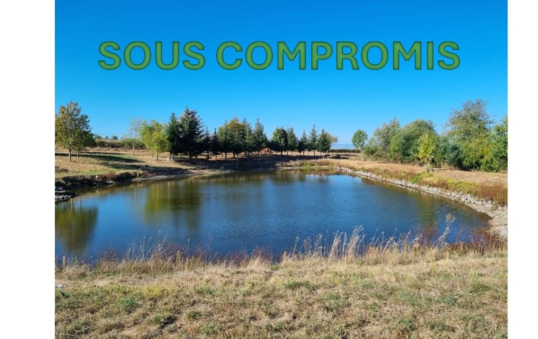 WEALSTONE : Terrain | SAINT-MEDARD-EN-FOREZ (42330) | 0 m2 | 95 000 € 