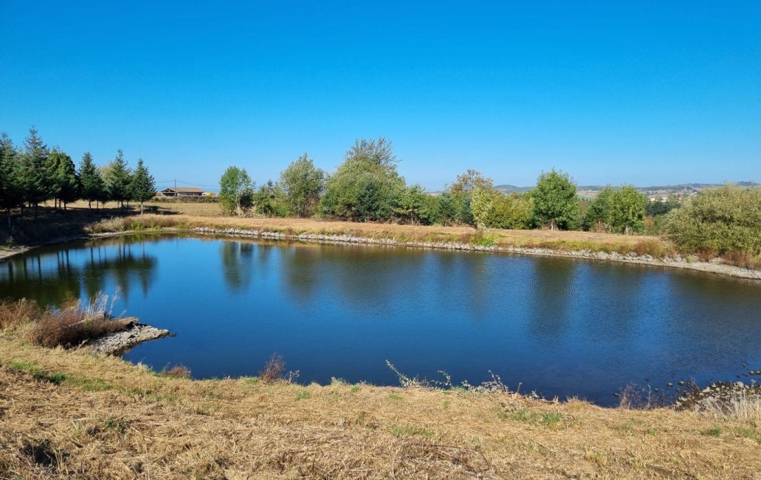 WEALSTONE : Terrain | SAINT-MEDARD-EN-FOREZ (42330) | 0 m2 | 95 000 € 