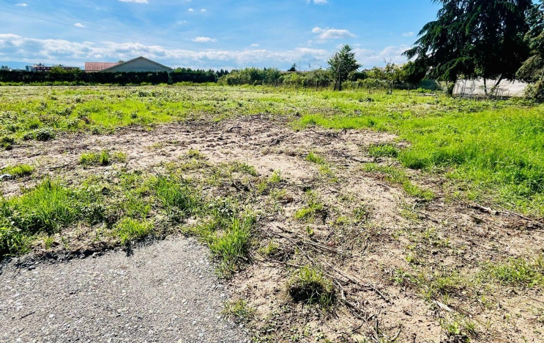 WEALSTONE : Terrain | FEURS (42110) | 0 m2 | 46 000 € 