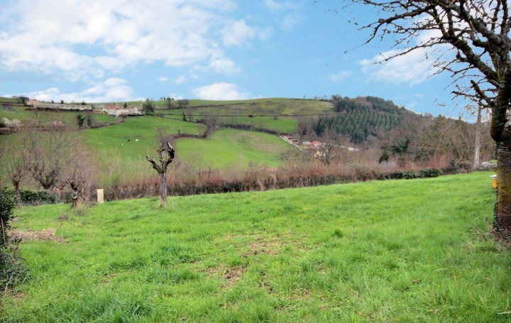  WEALSTONE Terrain | SAINT-GALMIER (42330) | 0 m2 | 119 000 € 