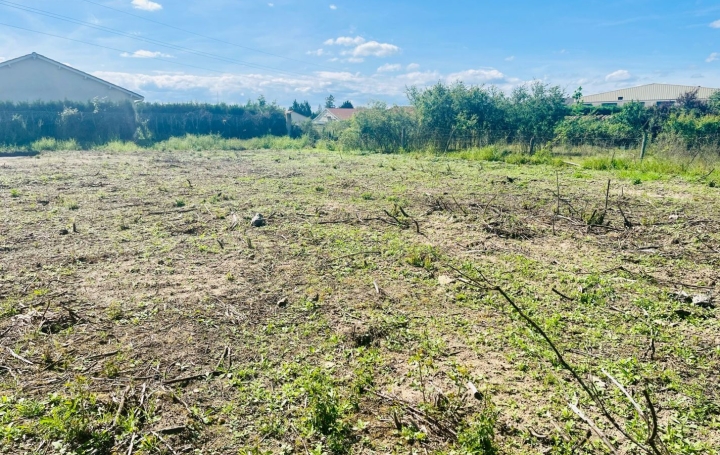  WEALSTONE Terrain | FEURS (42110) | 0 m2 | 55 000 € 